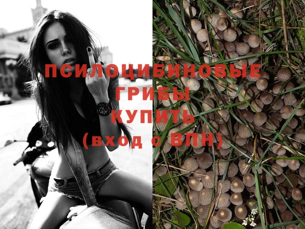 каннабис Тавда